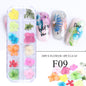 Nail Art Dry Flower 12 Grid Boxed Colorful Daisy Gypsophila Real Flower Nail Jewelry