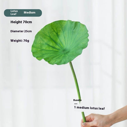 Fake Simulation Of Lotus Flowers Lotus Lotus Pods