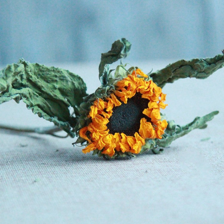 Natural Dried Flowers Real Flowers Teacher's Day Sunflower Home Decoration