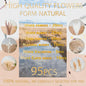 PAMPAS Bohemian Decorative Reed Rabbit Tail Grass Mix And Match Dried Flowers Bouquet