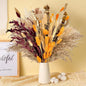 PAMPAS Bohemian Decorative Reed Rabbit Tail Grass Mix And Match Dried Flowers Bouquet