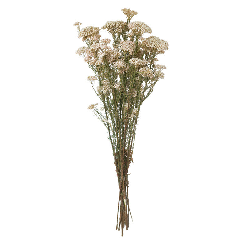 Living Room Table Decoration Dried Flowers