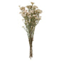 Living Room Table Decoration Dried Flowers