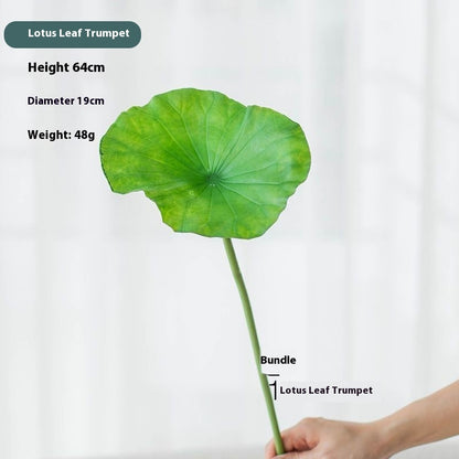 Fake Simulation Of Lotus Flowers Lotus Lotus Pods