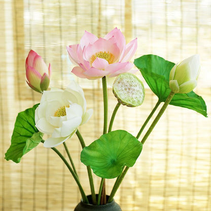 Fake Simulation Of Lotus Flowers Lotus Lotus Pods