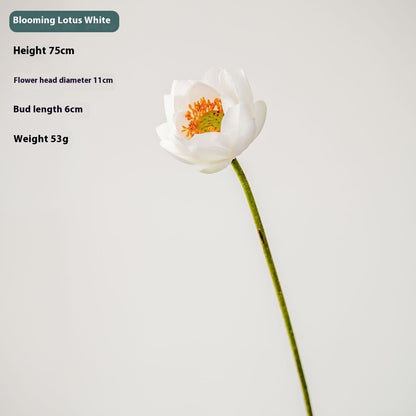 Fake Simulation Of Lotus Flowers Lotus Lotus Pods